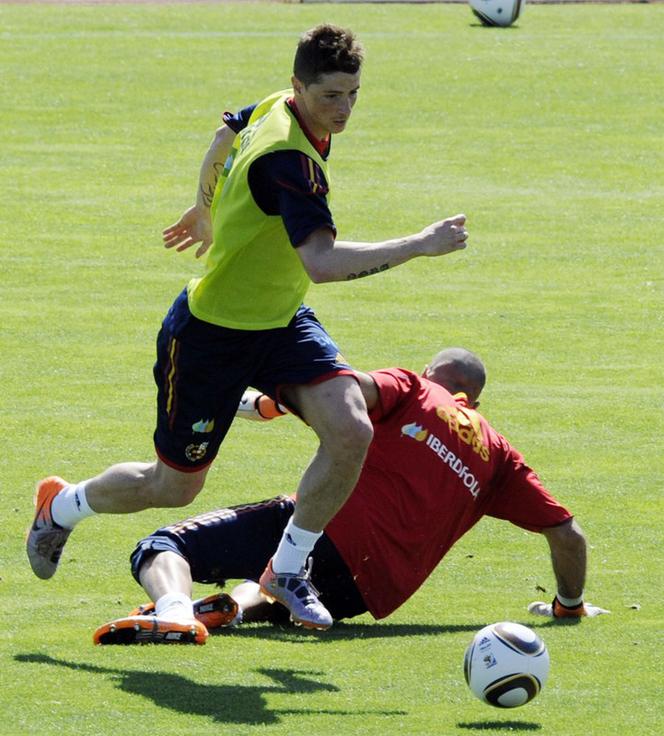 Fernando Torres