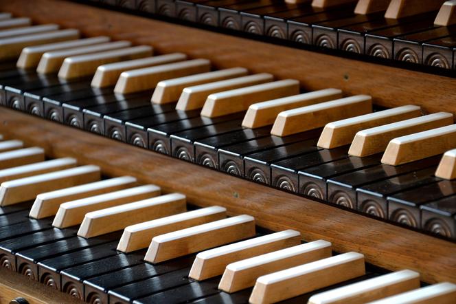 Dźwięki Bazyliki – jubileuszowy koncert organowy Henryka Krawczyka