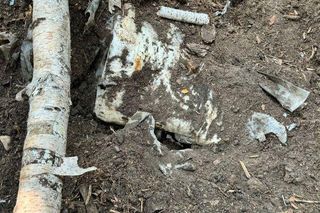 Niebezpieczne znalezisko w Gdyni