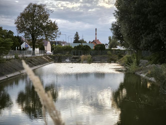 Stary zbiornik przeciwpożarowy na Gronowie