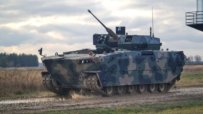 Borsuk sprawdzony w warunkach bojowych. "Jedyny w swoim rodzaju"