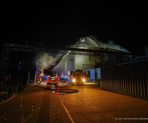  Kawle. Pożar zakładu przetwórstwa drobiowego. 120 strażaków walczy z żywiołem w czwartek, 14 sierpnia. Jeden z nich zaginął [ZDJĘCIA]
