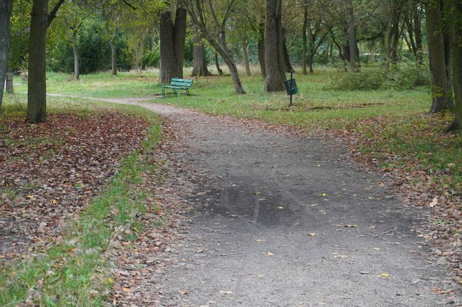 Park w Skarżysku-Kamiennej w opłakanym stanie! 