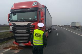 Groźny wypadek na obwodnicy Inowrocławia. Osobówka zderzyła się z TIR-em i wpadła do rowu