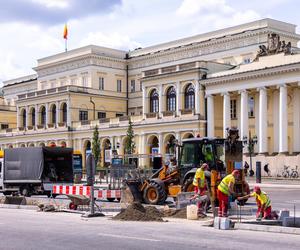 Prace przy zazielenianiu pl. Bankowego w Warszawie