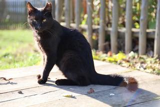 Jesień w lubelskim skansenie