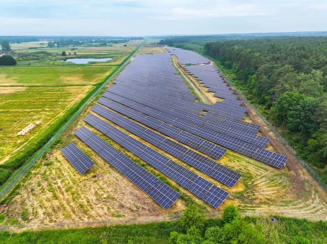 Diecezja Płocka producentem prądu? Jeszcze jak! W mieście powstała farma za grube miliony