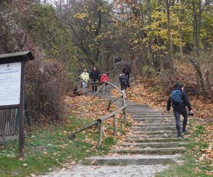 Mglisty Kazimierz Dolny w obiektywie. Miasteczko nad Wisłą przyciąga turystów nawet późną jesienią