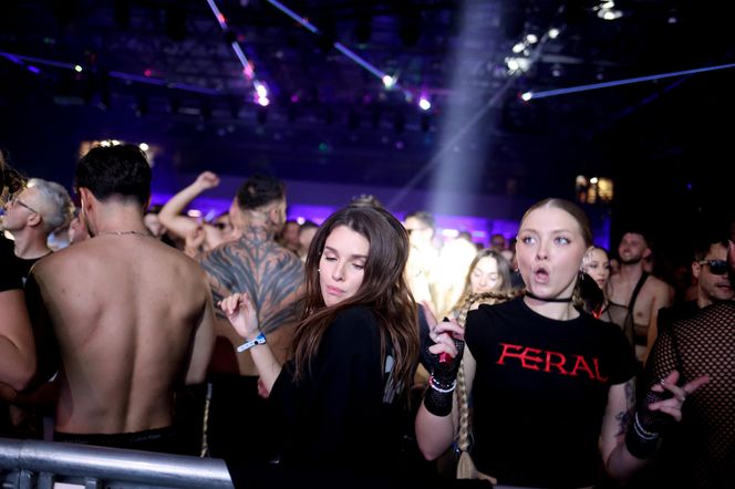 Mayday 2025 w Katowicach. Fani przed sceną bawią się najlepiej