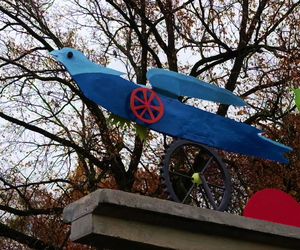 Ogniste Ptaki w Parku Kasprowicza w Szczecinie