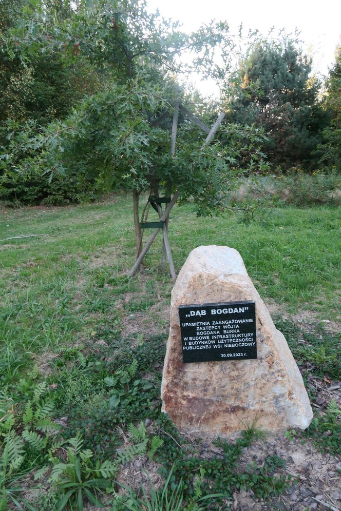 Wysiedlili ludzi, by ratować ich życia przed wielką wodą. „Za metr ziemi płacili jak za butelkę piwa”