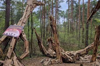 Leszy, słowiański strażnik lasu, padł. Powaliła go wichura podczas burzy. Wcześniej strzegł Puszczy Bydgoskiej