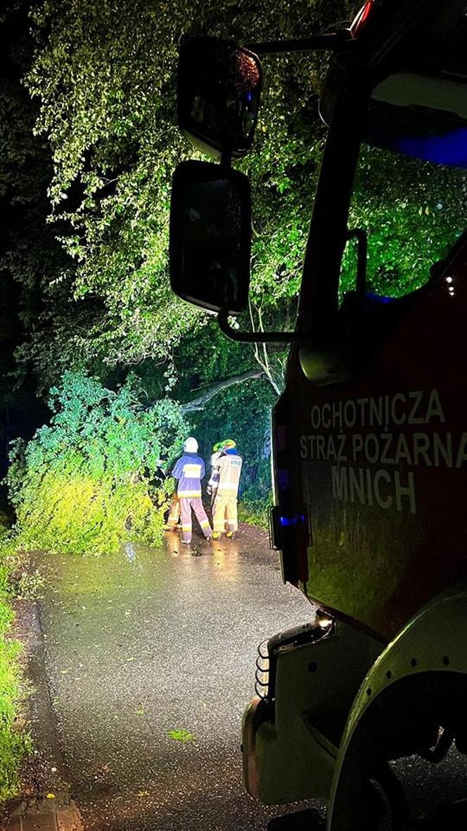 Burzowa noc w Śląskiem. Blisko 10 tys. osób bez prądu. Piorun popalił dom 