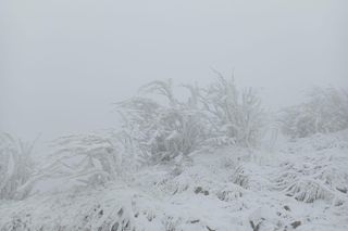 Zima zapanowała w Bieszczadach