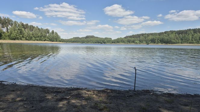 To jezioro w Olsztynie ma niezwykle czystą wodę. Jest kilka dzikich plaż, które świecą pustkami