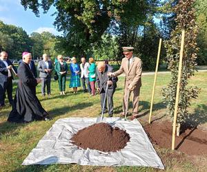 Trzy młode buki purpurowe na Skwerze Leśników Polskich wspólnie zasadzili pracownicy Nadleśnictwa Siedlce i Lasów Państwowych, władze miasta Siedlce i radni.