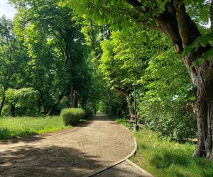 Park Miejski w Zamościu