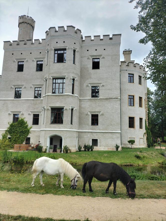 Ten zamek to prawdziwa perła Karkonoszy. Spotykała się tu arystokracja z całej Europy 