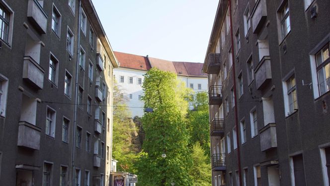 Zamek Decin