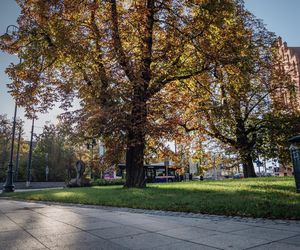 Plac Kościeleckich w Bydgoszczy po przebudowie