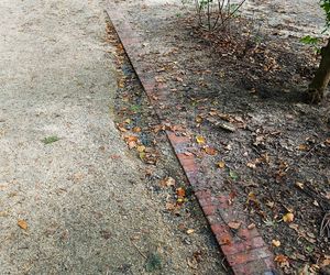 Usterki na Alei Fałata