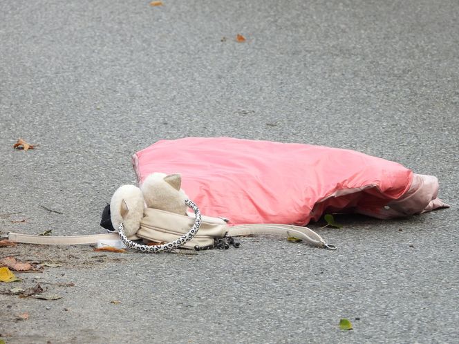 Dziewczynki potrącone na przejściu