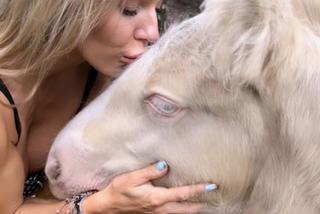 Kucyk rzucił sie na Dodę