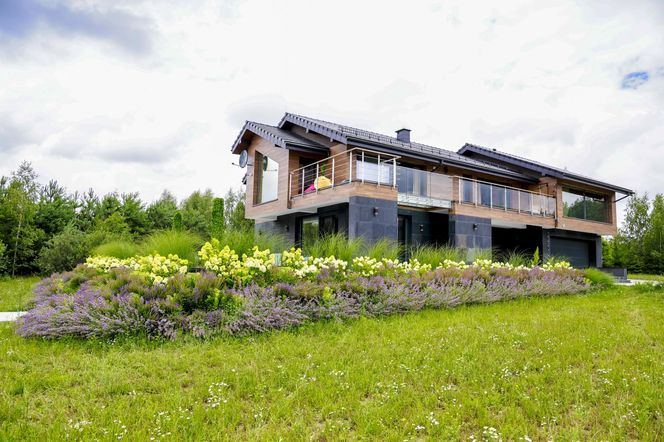 Cichopek traci fuchę! Nie będzie nowego sezonu "Moja mama i twój tata"