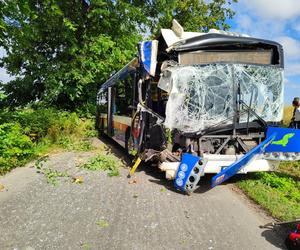 Pod Bydgoszczą autobus podmiejski uderzył w drzewo. Kilkanaście osób jest rannych!