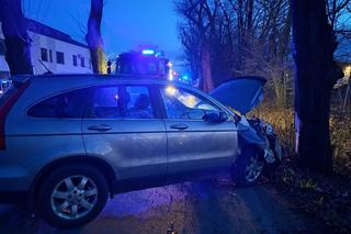 Wierzchosławice. Pijany jak bela 40-latek huknął w drzewo. Przejechał tylko kilkadziesiąt metrów