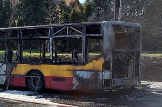 Autobus miejski spłonął doszczętnie na środku ulicy! Szok w Łodzi [ZDJĘCIA]