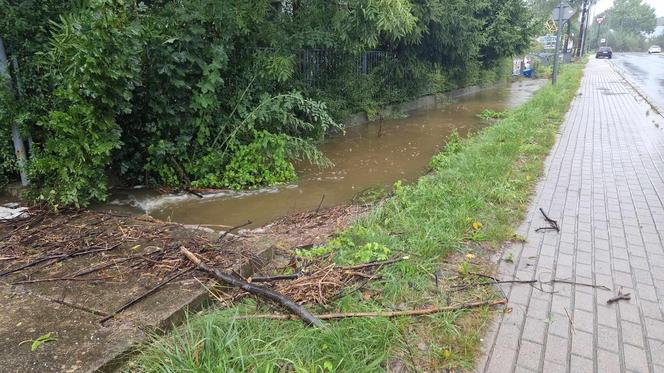 Jelenia Góra zalana. Pod wodą jest już 30 domostw, wiele dróg jest nieprzejezdnych 