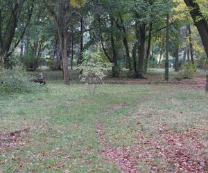 Park w Skarżysku-Kamiennej w opłakanym stanie! 