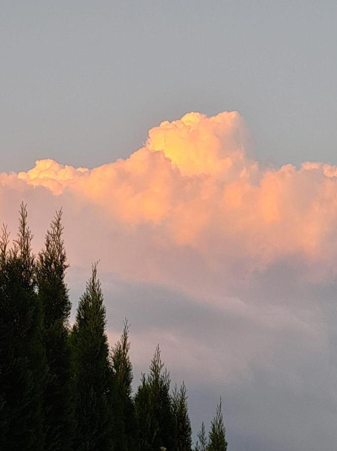 Światowy Dzień Fotografii. Z tych fotek są dumni nasi Czytelnicy! ZOBACZ