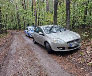 kto odpowiada za śmieci w lesi