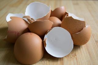 Jak wykorzystać skorupki po jajkach? 6 patentów na zastosowanie skorupek jaj 