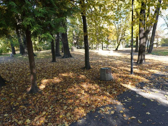 Złota polska jesień w parku na Bronowicach w Lublinie