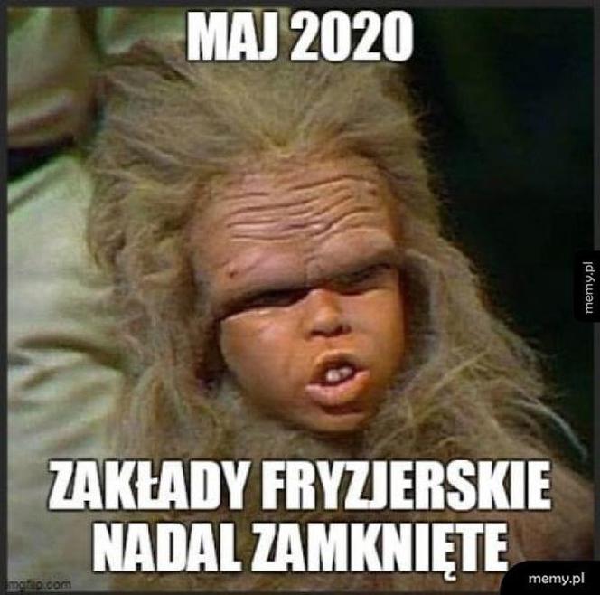 Fryzjerzy na kwarantannie: MEMY. W oczekiwaniu, kiedy otworzą salony fryzjerskie