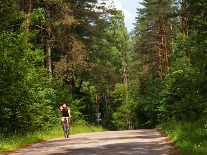 Szlak Powstania Styczniowego w Puszczy Knyszyńskiej - Supraśl