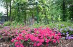 Arboretum w Bolestraszycach 