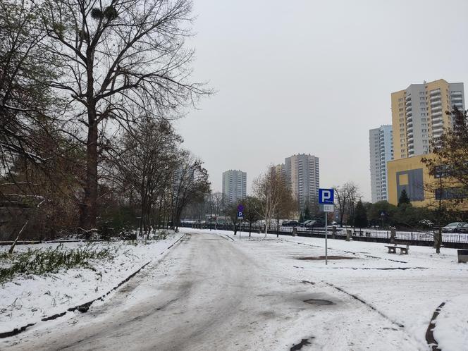 Parkowanie w Katowicach: Studenci UE nie zawalają już parkingów