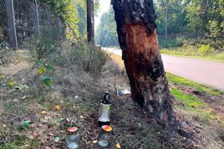 Mateusz miał benzynę zamiast krwi. 21-latek zginął, bo nie zapiął pasów