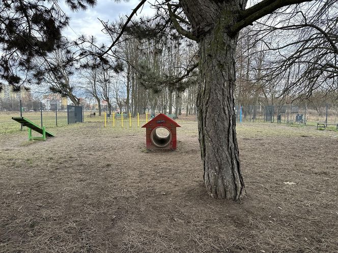 Psi park na ul. Maratońskiej w Łodzi