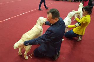 Międzynarodowa Wystawa Psów Rasowych w Bydgoszczy