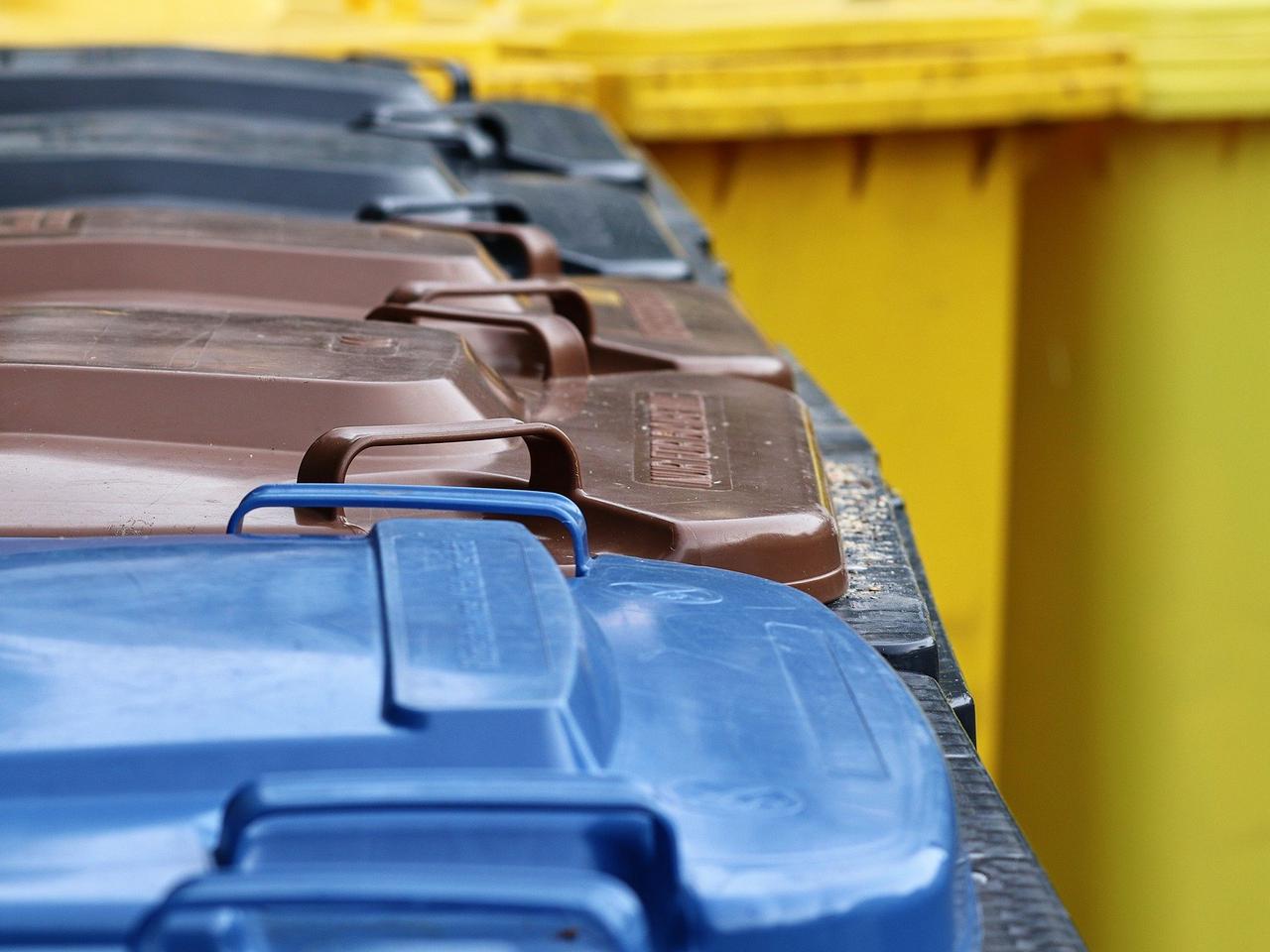 Czy wiesz, jak segregować śmieci? Sprawdź, czy robisz to poprawnie! [QUIZ]