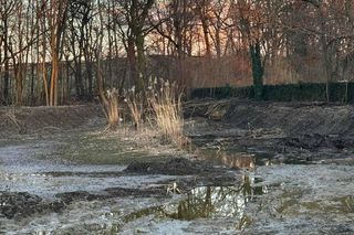 10-latek nie mógł się ruszyć