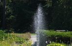 Ogród Botaniczny w Poznaniu 
