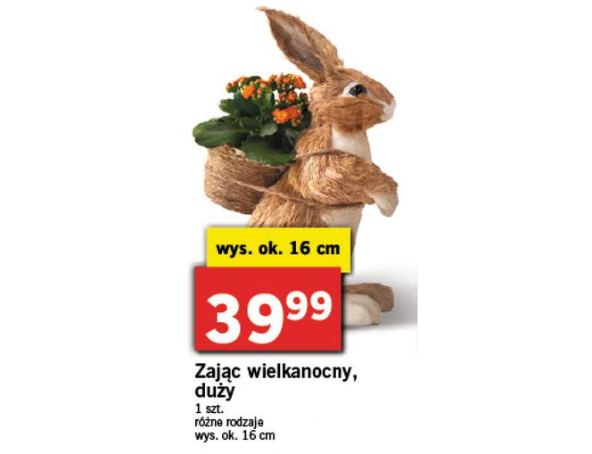 Wielkanocne promocje w Lidlu