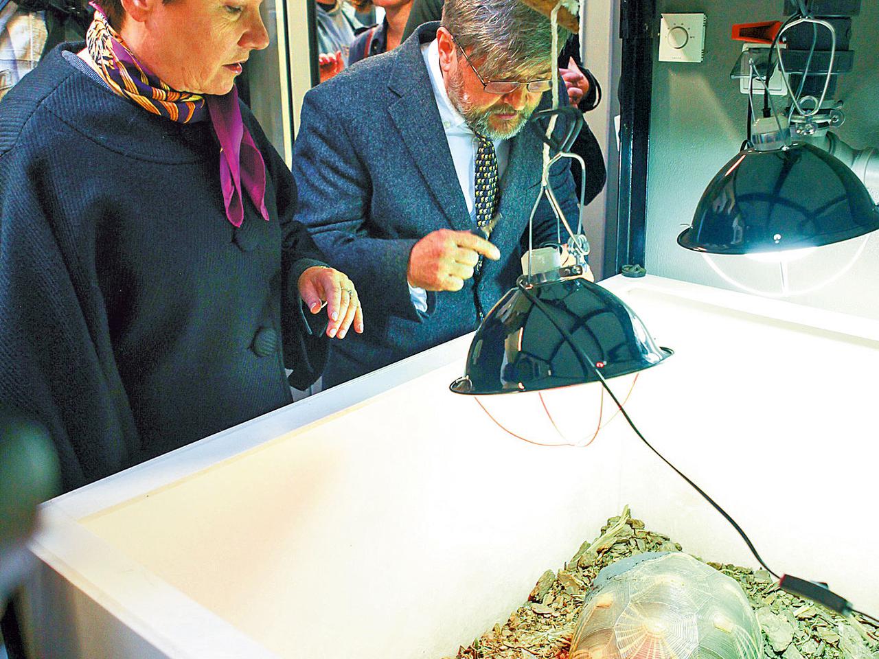 Tu zamieszkają zagrożone zwierzaki