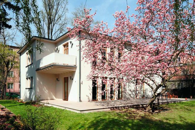 Przedwojenna willa z magnolią - tak wygląda po remoncie